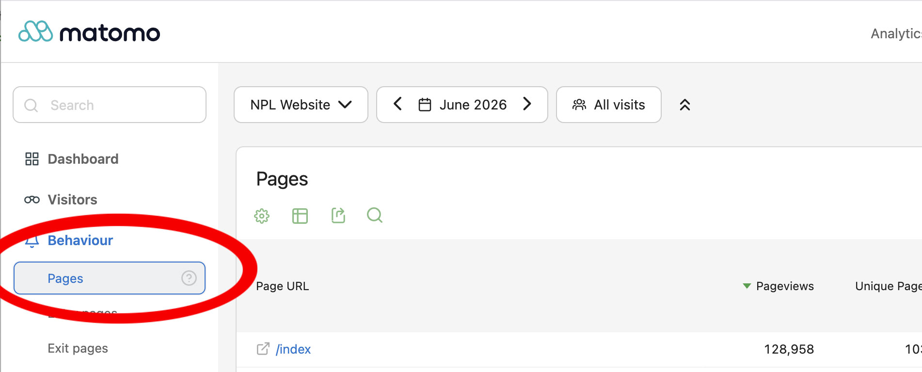 pages report
